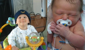 various, photography © 2006