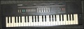 Rivers' Casio MT 205 keyboard he bought in 1994.