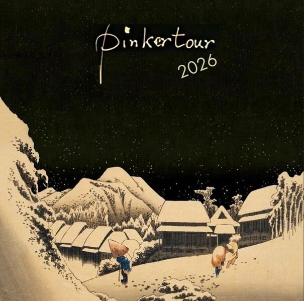File:Pinkertour 2026 .jpg
