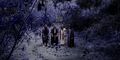 Thumbnail for version as of 08:01, 18 May 2025