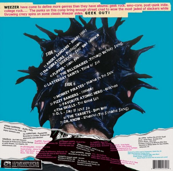File:Punk Tribute vinyl back cover.jpeg